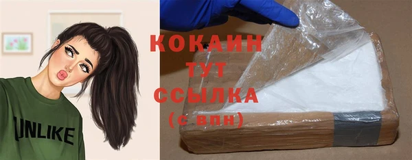 прущие грибы Белоозёрский
