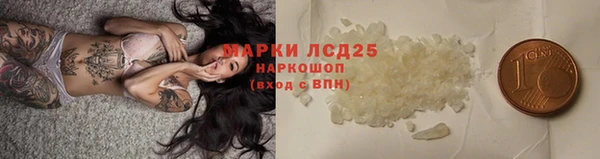 прущие грибы Белоозёрский