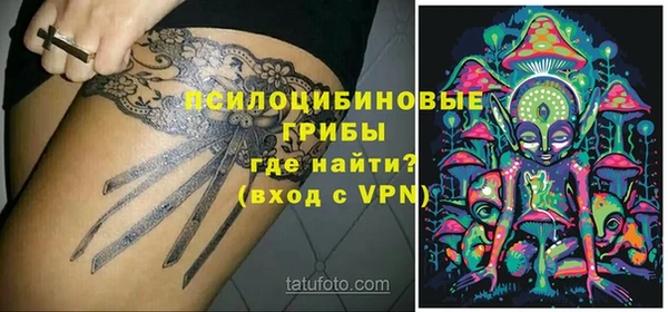 молекула духа Беломорск
