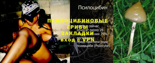 мефедрон Белокуриха