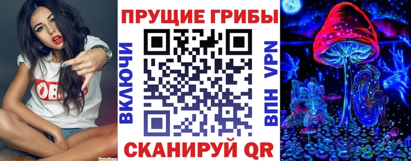 цены   blacksprut зеркало  Псилоцибиновые грибы MAGIC MUSHROOMS  Сегежа 